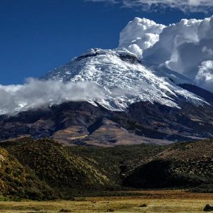 Naturaleza Naturaleza